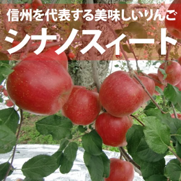 画像1: シナノスィート　約5Kg (1)