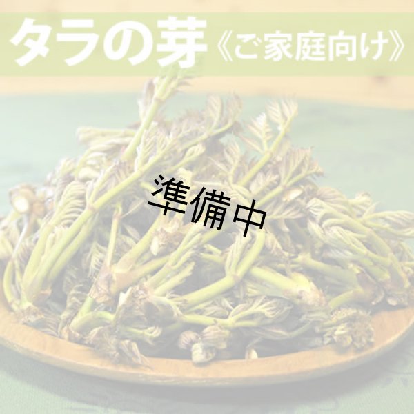 画像1: 天然タラの芽  1Kg (1)