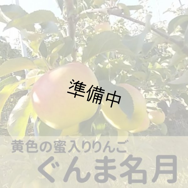 画像1: ぐんま名月 約10Kg (1)