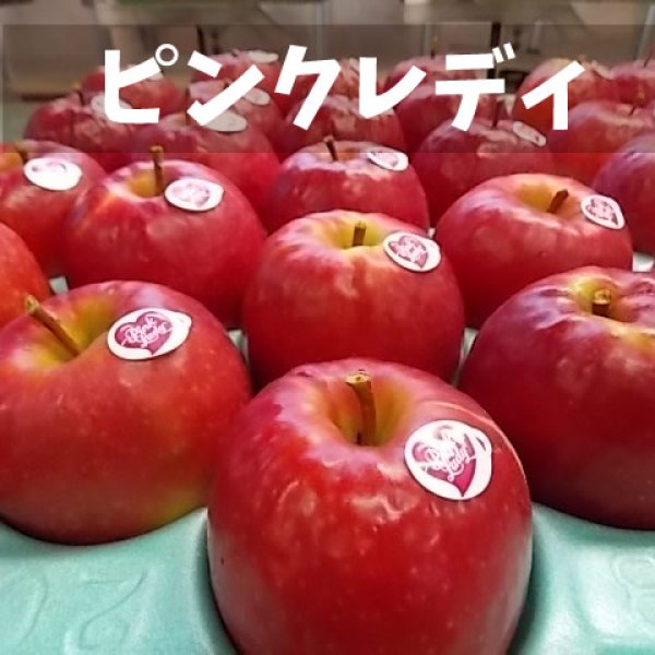 ピンクレディー 中箱 正味4kg前後入り りんご 原りんご園