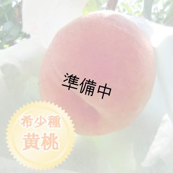 画像1: 黄桃　中箱 (1)