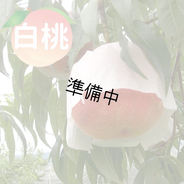 画像1: 白桃 2Kg (1)