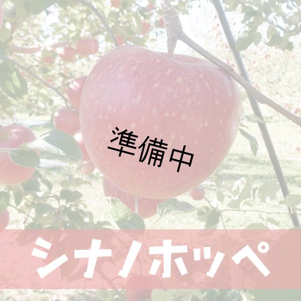 画像1: シナノホッペ (秋の信州りんご) 約3Kg (1)