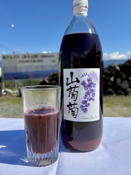 画像1: 山葡萄ジュース 1リットル×3本セット (1)