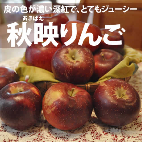 秋映  約3Kg