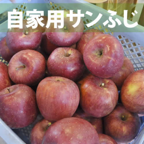 サンふじ自家用　約10Kg 送料別