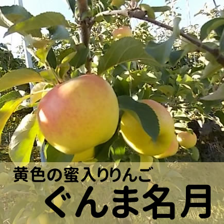 ぐんま名月 約5Kg